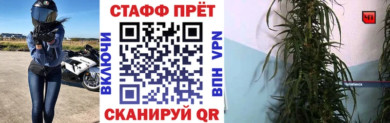 Где найти наркотики Новочебоксарск Галлюциногенные грибы A PVP Гашиш КОКАИН MEGA онион Бошки Шишки