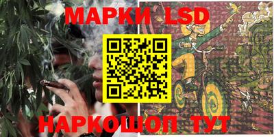 стафф Гатчина