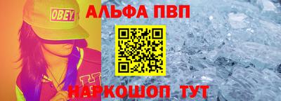 стафф Гатчина