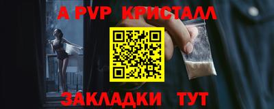 ECSTASY Гай