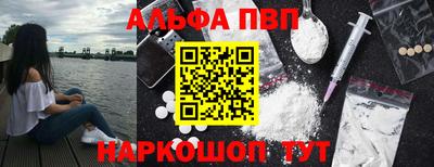 ECSTASY Гай