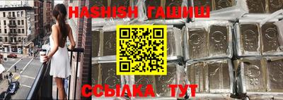 стафф Гатчина