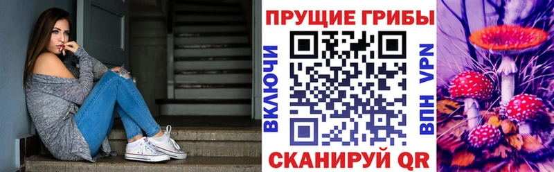 МЕГА ONION  Новочебоксарск  Псилоцибиновые грибы Cubensis  наркотики 