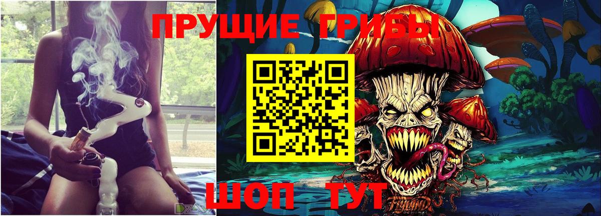 Галлюциногенные грибы GOLDEN TEACHER Новочебоксарск