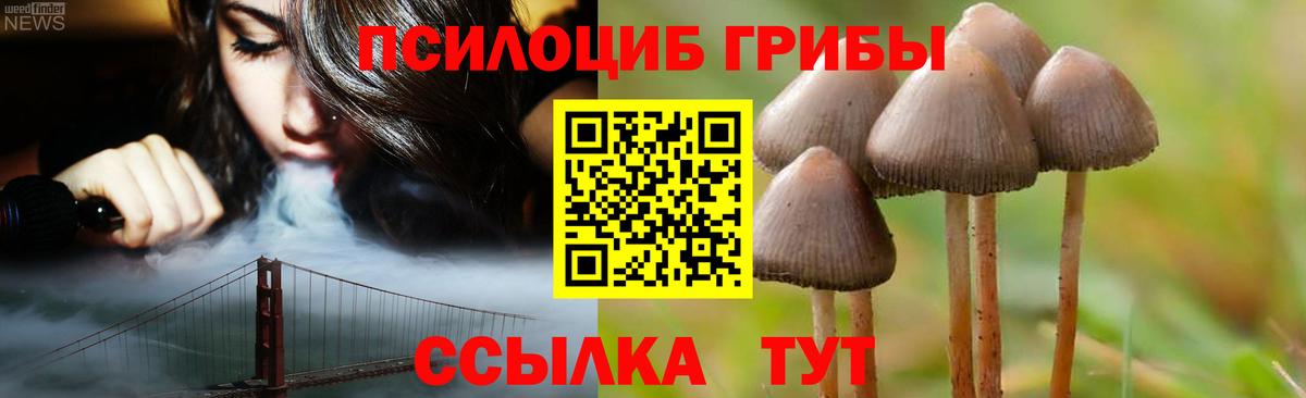 Галлюциногенные грибы Magic Shrooms  Вход с VPN  Новочебоксарск 